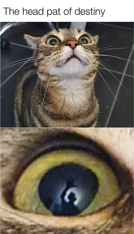 jb2kyxD.jpeg