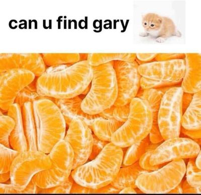 513874537_1283011853190258_8300266438543586891_n.jpg