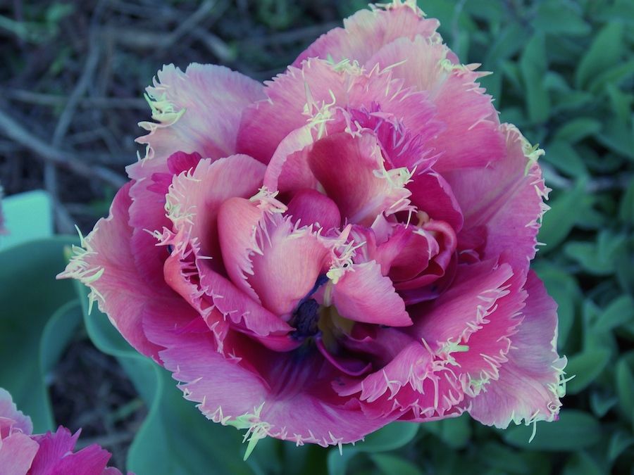 DSCN2620.JPG